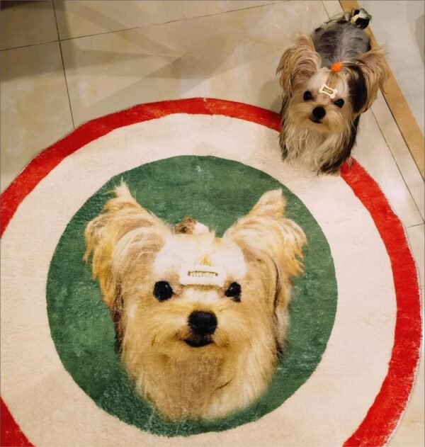 Custom Pet Carpet (复制)